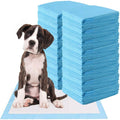 Traversine Cani 60x60 cm - 100 Pezzi - 5 Strati Super Assorbenti Senza Perdite - Tecnologia Gel, Asciugatura Rapida, Inodore - Per Cuccioli e Cani Anziani, Utilizzabili in Casa o Auto