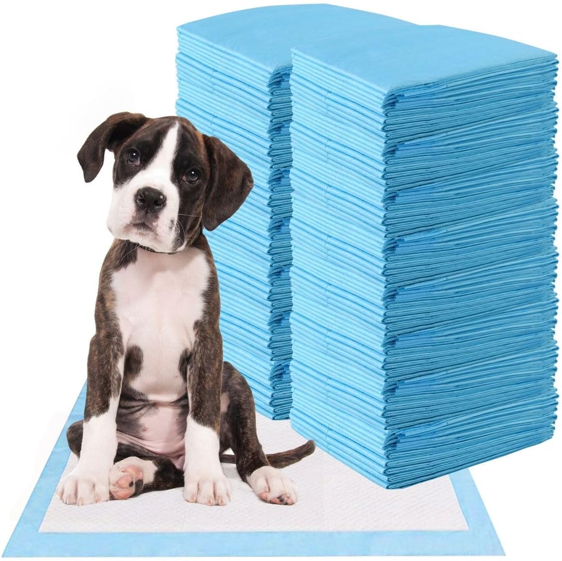 Traversine Cani 60x60 cm - 100 Pezzi - 5 Strati Super Assorbenti Senza Perdite - Tecnologia Gel, Asciugatura Rapida, Inodore - Per Cuccioli e Cani Anziani, Utilizzabili in Casa o Auto