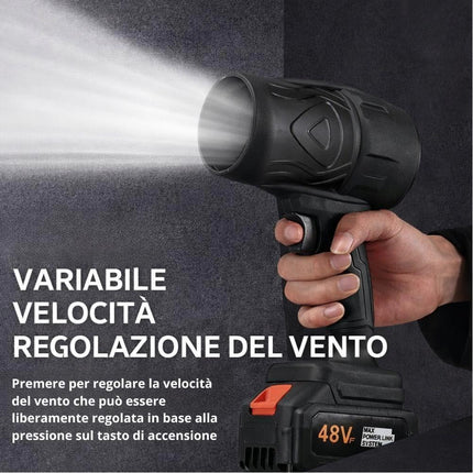 Soffiatore a Batteria 48V con 2 Batterie Incluse e Valigetta, Soffiatore Foglie 2 in 1 Compatto e Portatile, Alta Potenza 1050W, Ideale per Giardino, Auto e Garage